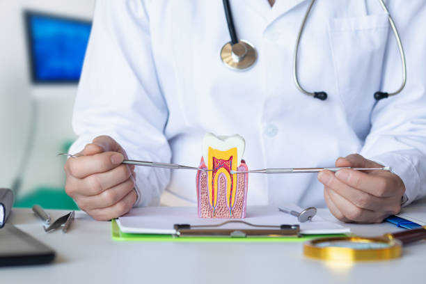 Best Weekend Emergency Dentist in Eastover, NC